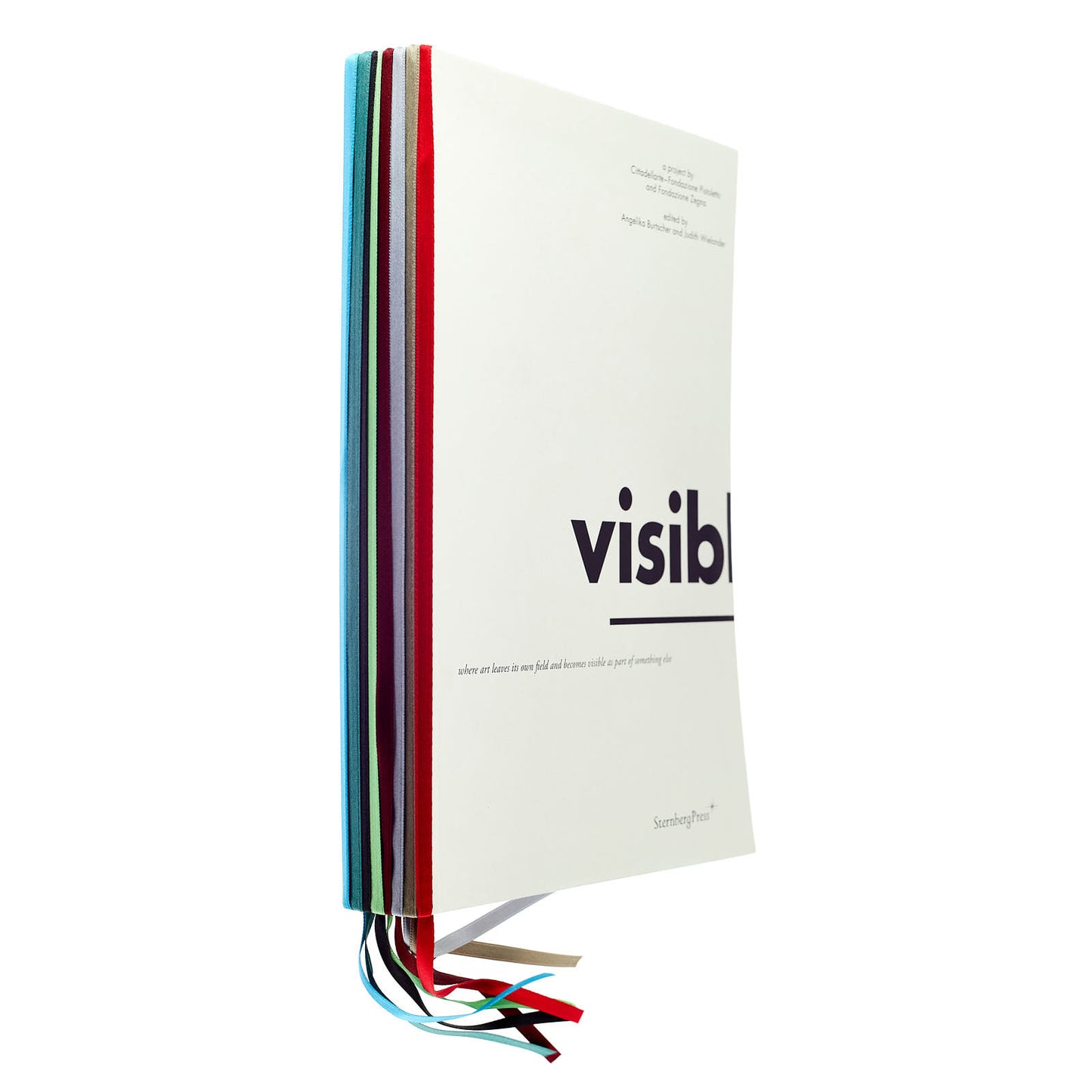 Visible (un progetto di Cittadellarte - Fondazione Pistoletto e Fondazione Zegna)