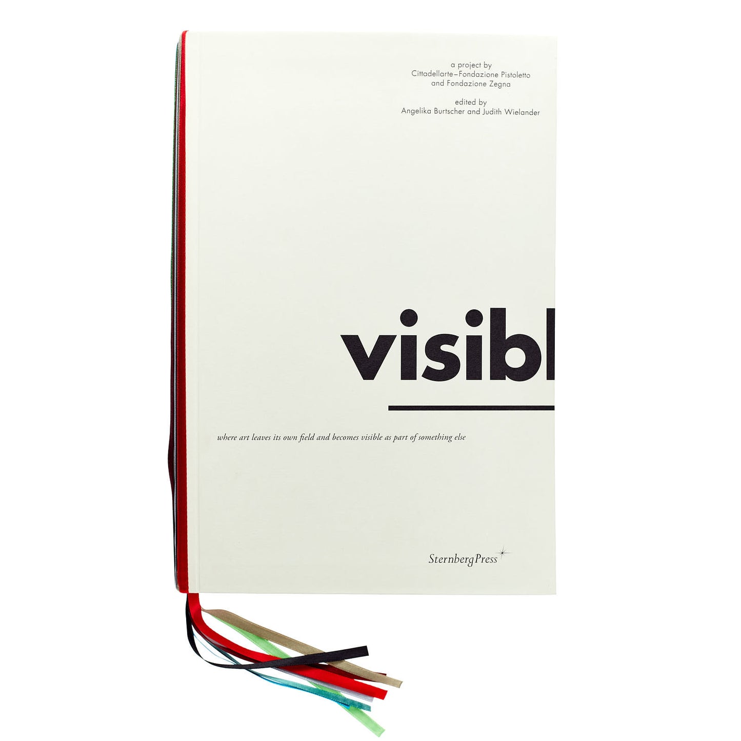 Visible (un progetto di Cittadellarte - Fondazione Pistoletto e Fondazione Zegna)